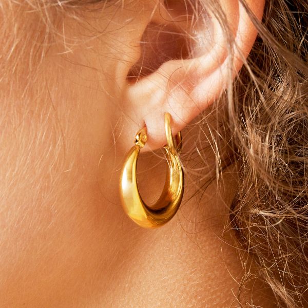 Earrings Arched Gold 2