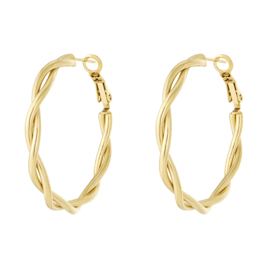 Hoops Gold Earrings