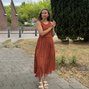 Luna Dress - Terracotta